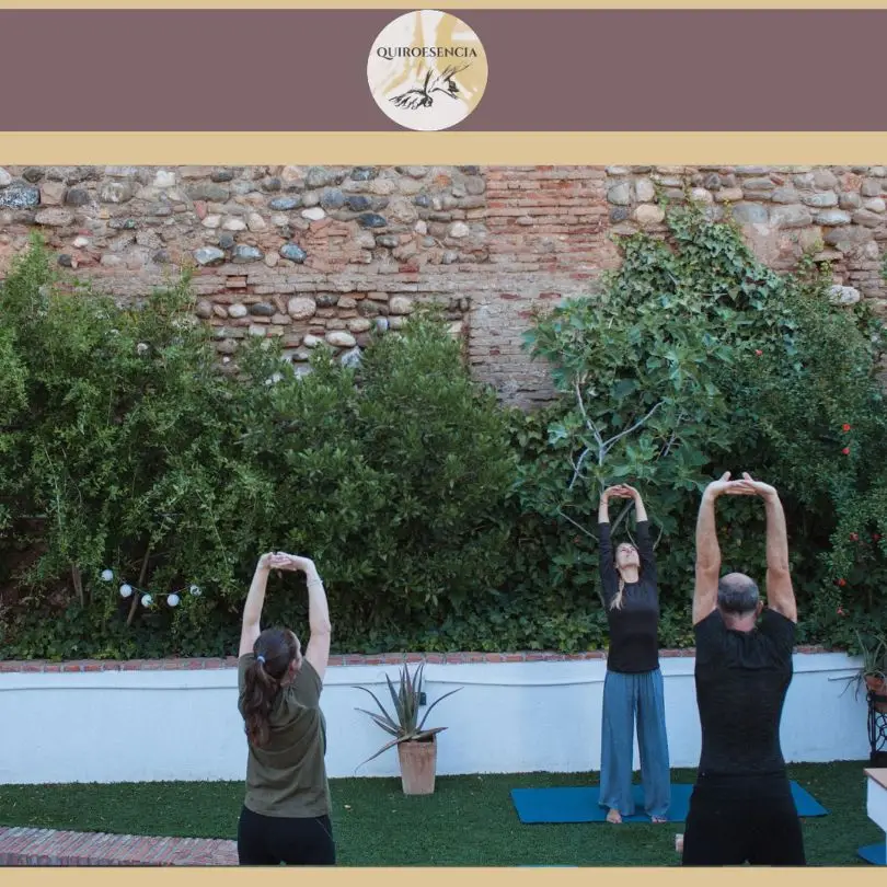Qué es Hatha Yoga?